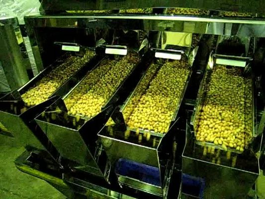 6500 máquina linear principal do pesador do grama 4 para o chocolate