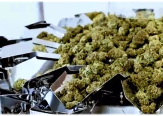 A marijuana de 50 gramas brota pesador da máquina de peso de Multihead o micro