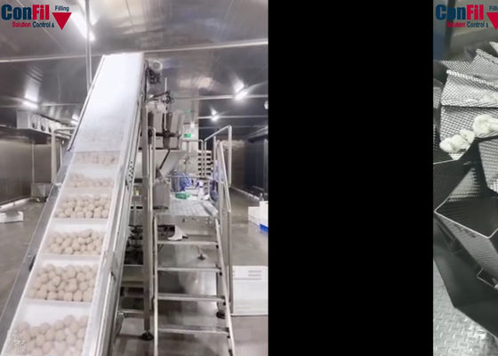 Máquina de empacotamento giratória principal do vácuo 14 para a máquina de empacotamento congelada almôndega do alimento