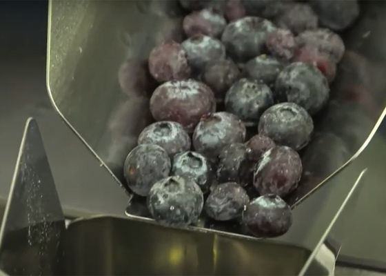 Máquina de peso do fruto de Multihead para a máquina de enchimento frágil do alimento do mirtilo